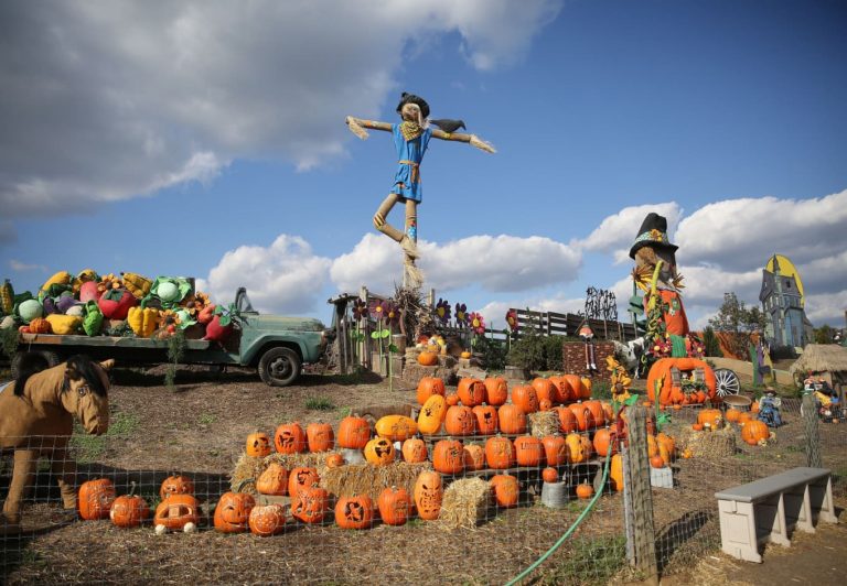 The 7 Best Halloween Cities To Visit In The US CuddlyNest