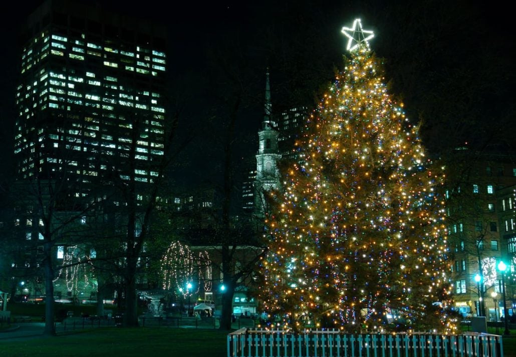 Christmas Tree On Boston Common
