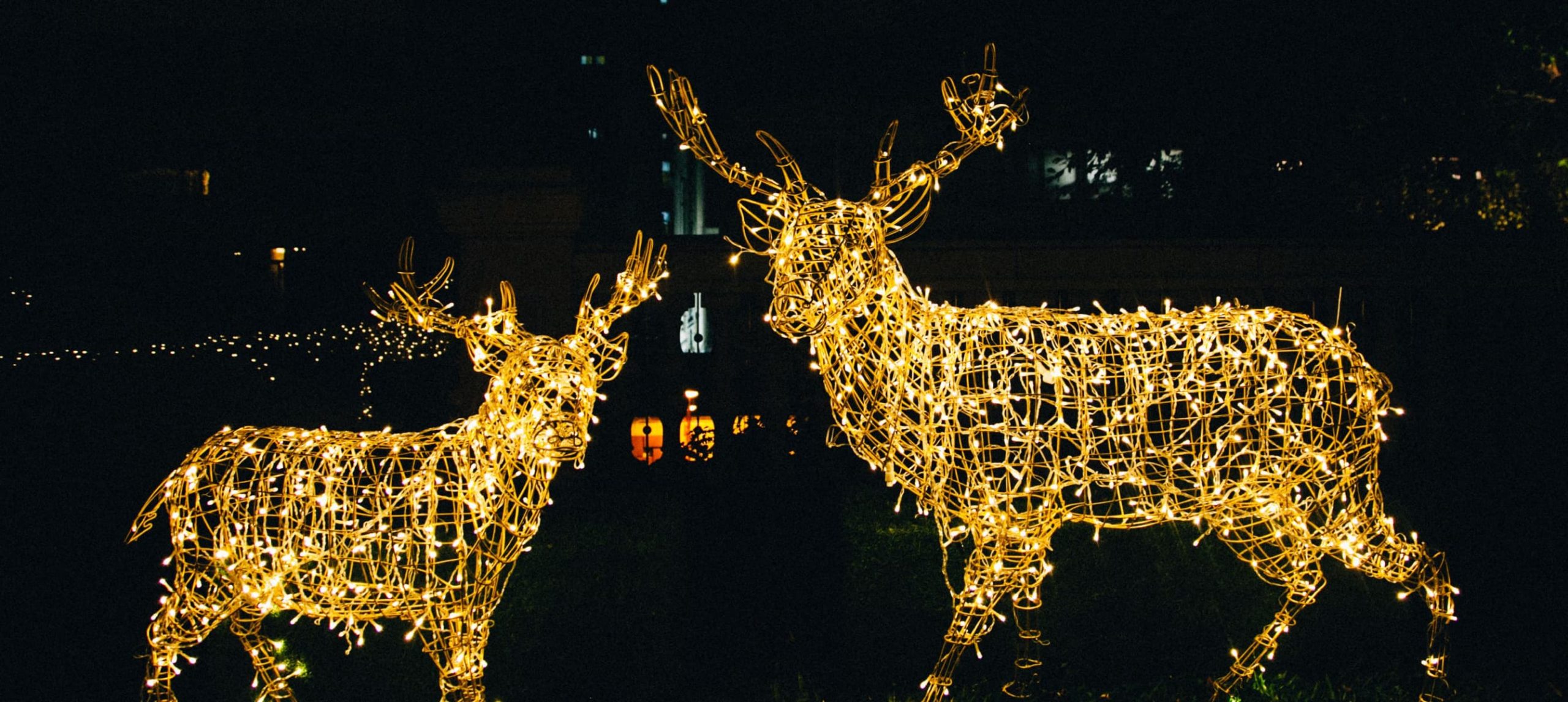 Reindeer Christmas lights