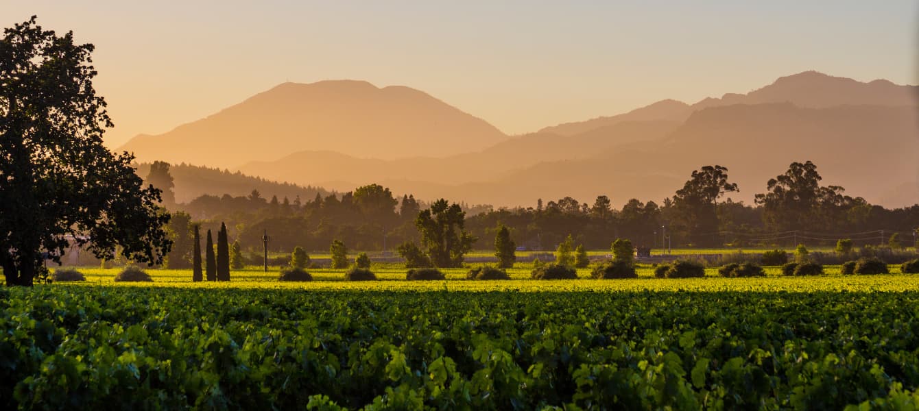 The Best Hotels In Napa Valley