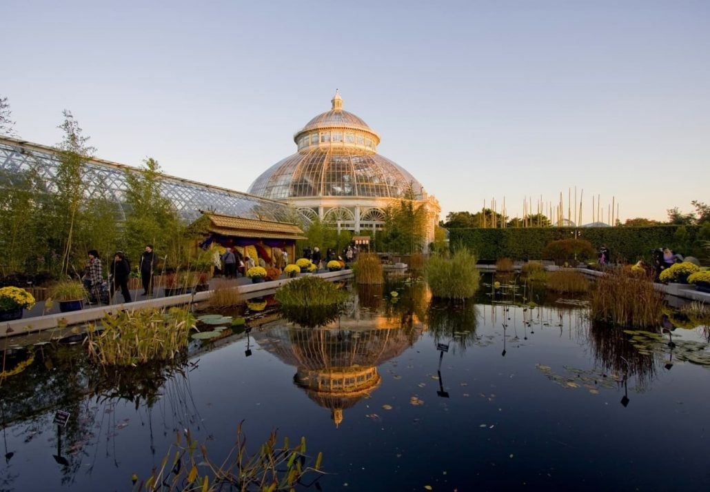 The New York Botanical Garden