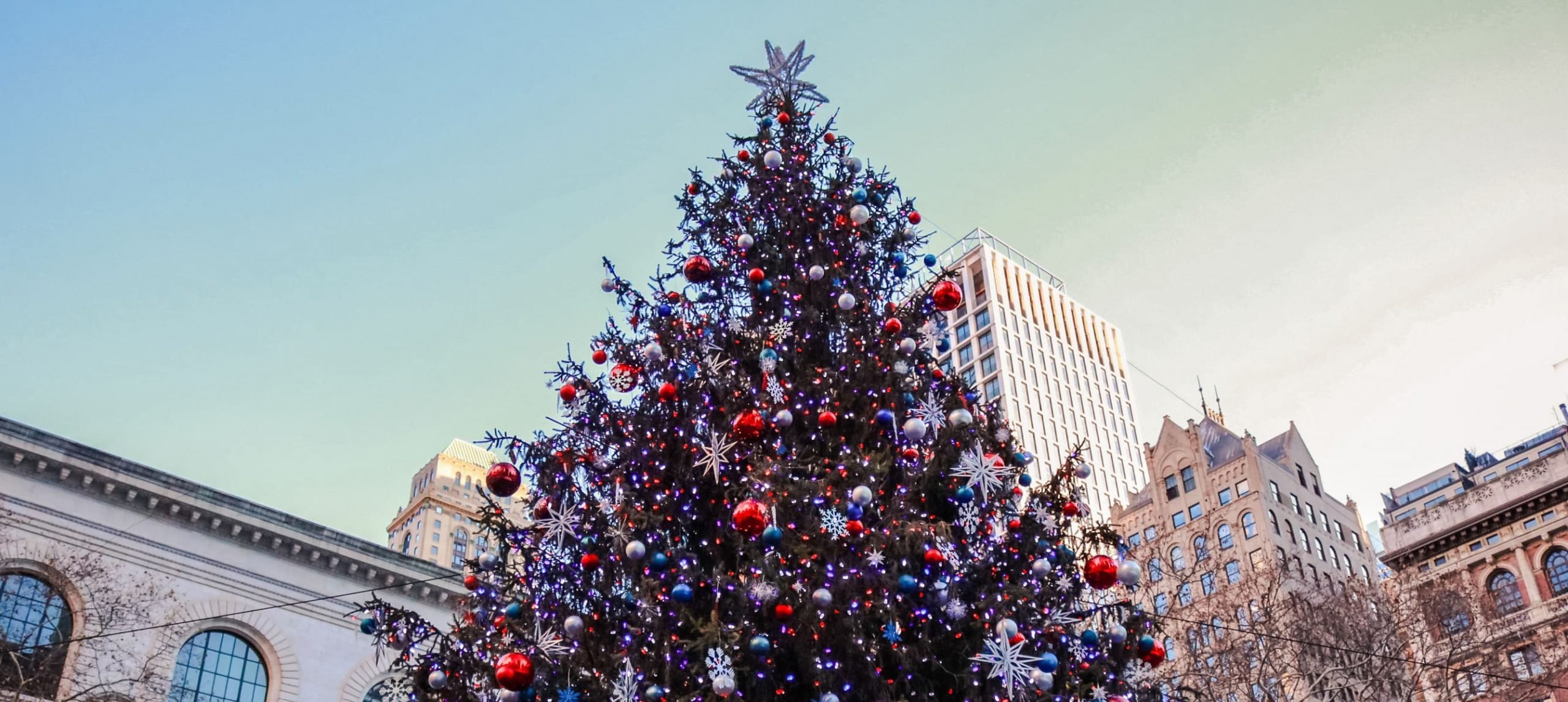 a Christmas tree in NYC