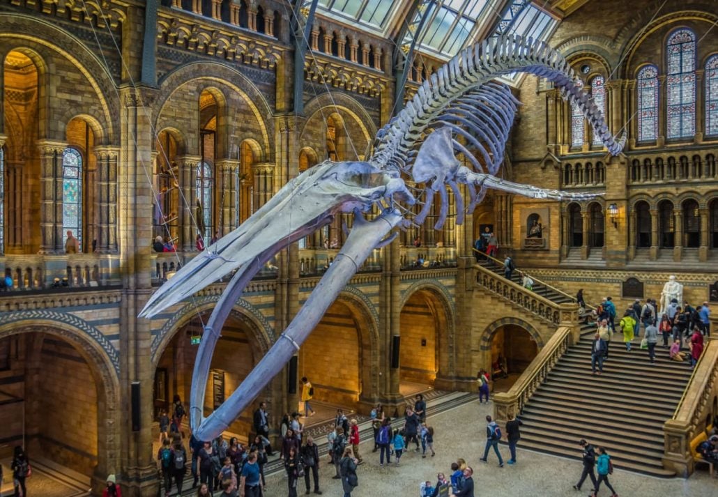 Natural History Museum