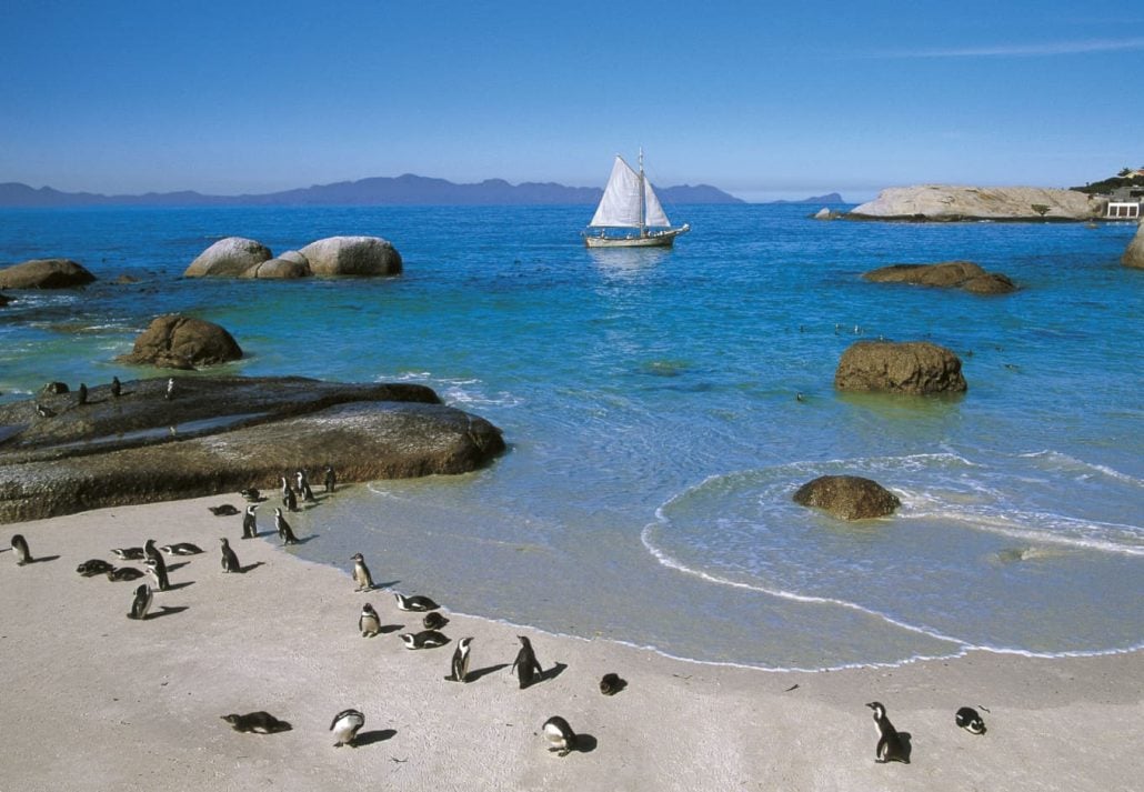 things-to-do-in-cape-town-boulder-beach | CuddlyNest Travel Blog Boulders Beach