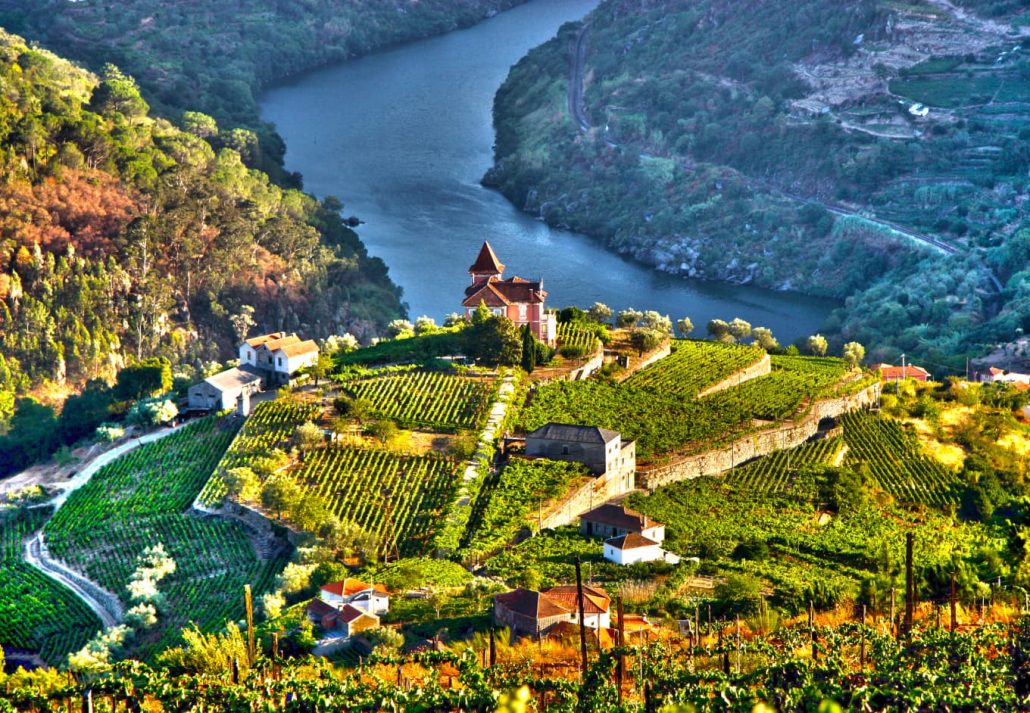 Best Places To Visit In Portugal - douro valley portugal