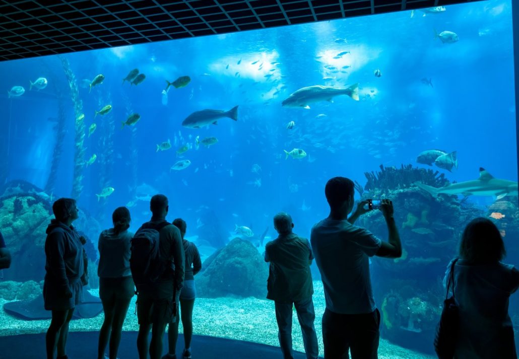 Aquarium Oceanário de Lisboa