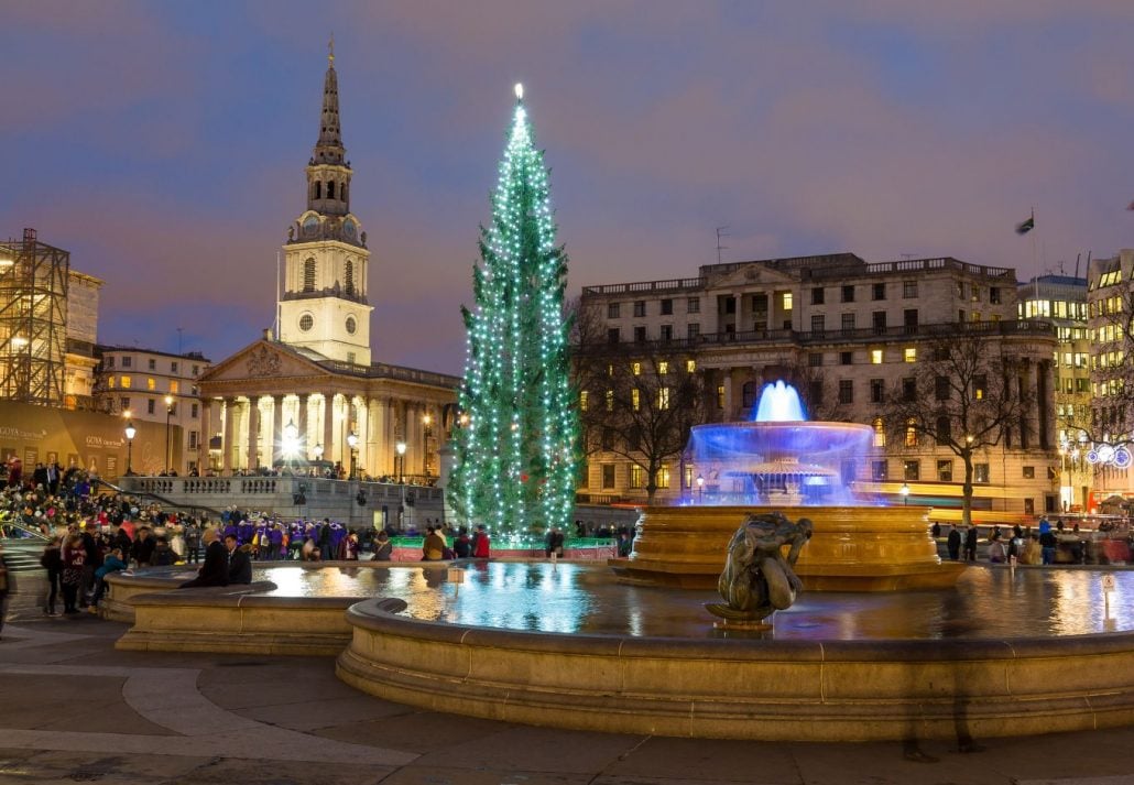 See the famous Trafalgar Square Tree