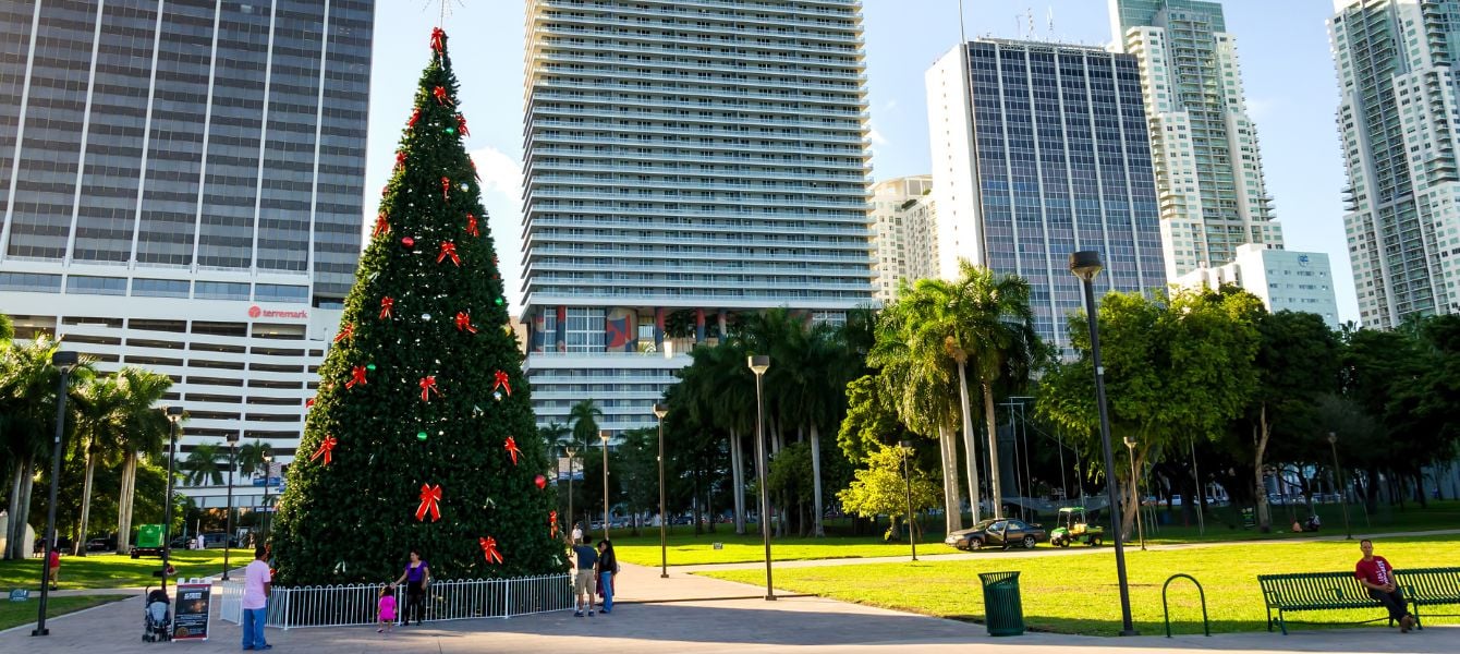 8 Best Things to Do in December in Miami, Florida