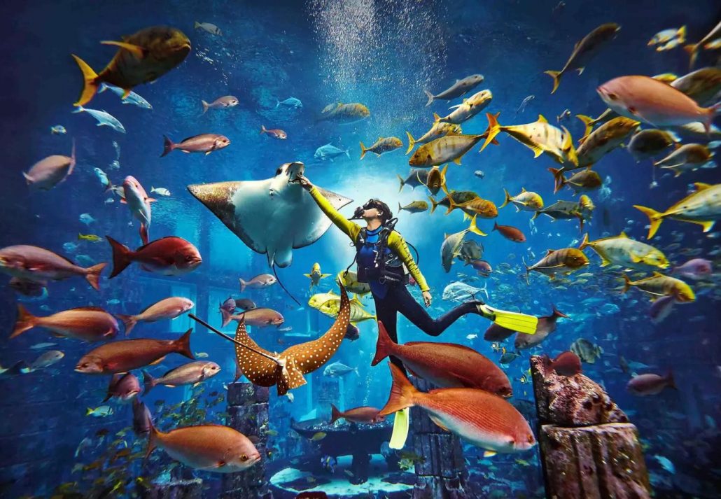 Atlantis the Palm – Aquaventure