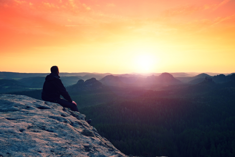 CuddlyNest Co-Founder and COO Reflects on 2023 and What is Next