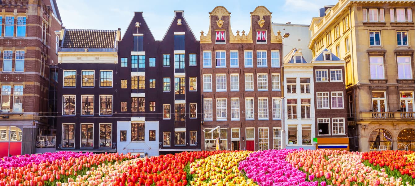 things to do in amsterdam