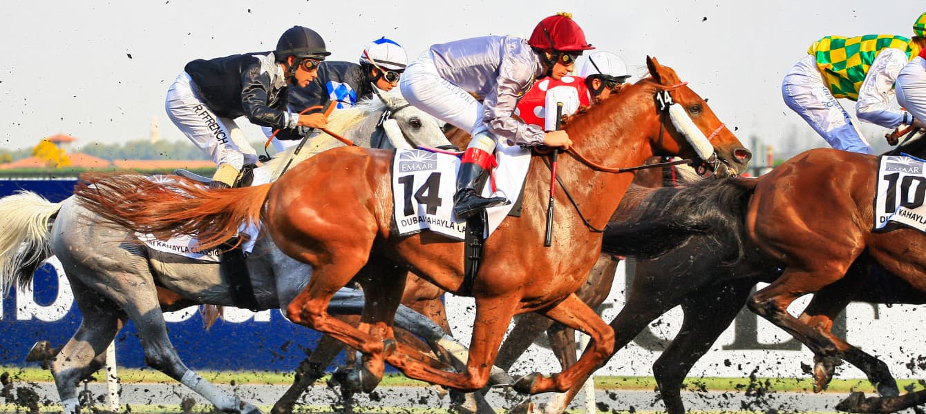 Horse Racing In Dubai