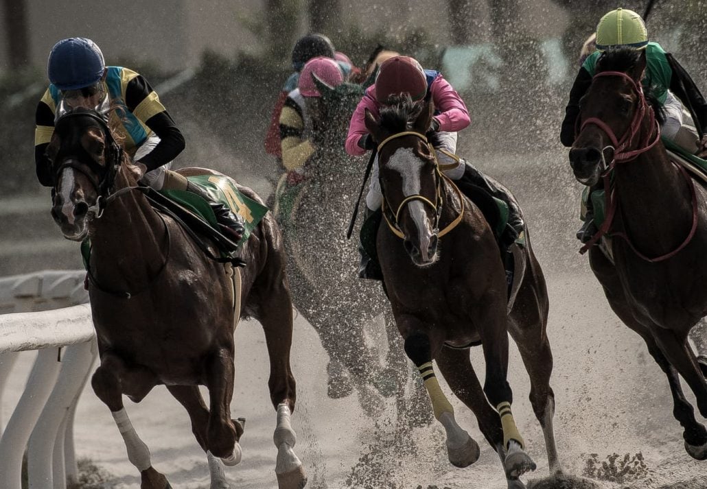 horse-racing-dubai-global-appeal | CuddlyNest Travel Blog Horse Racing In Dubai - Global Appeal