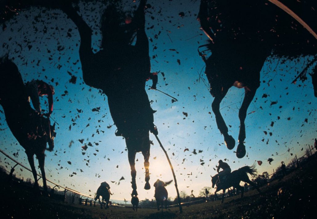 Horse Racing In Dubai - A Brief History