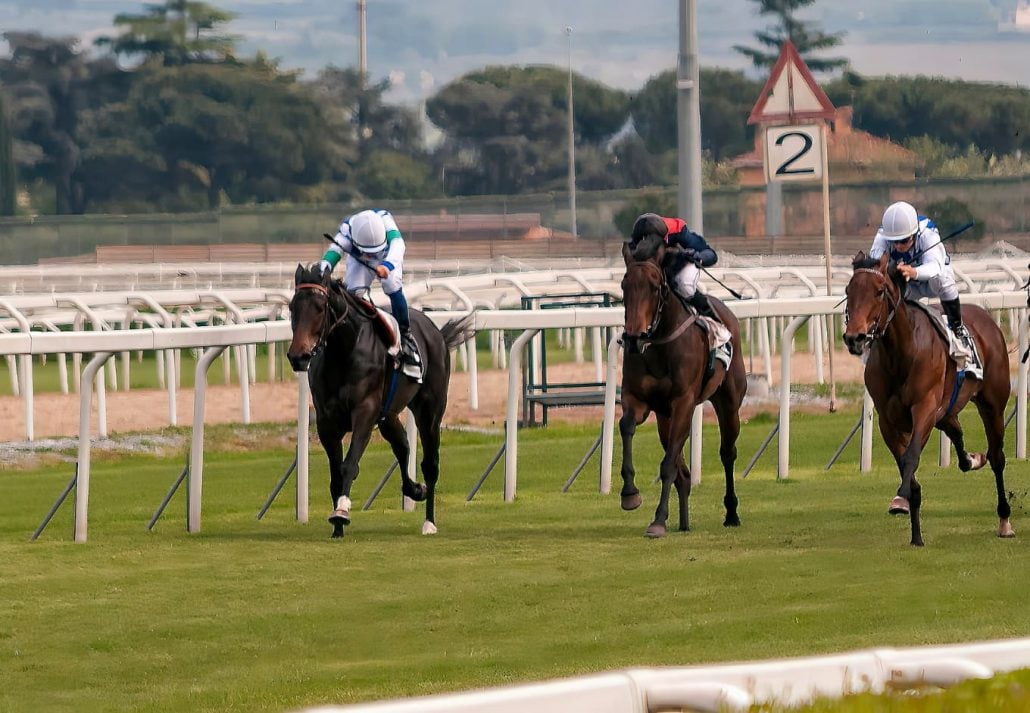 horse-racing-dubai-racing-track | CuddlyNest Travel Blog Horse Racing In Dubai - Racing Tracks