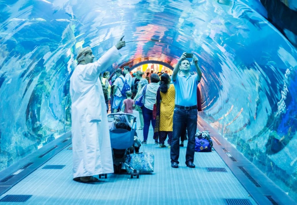 Exploring the Depths of the Dubai Aquarium & Underwater Zoo