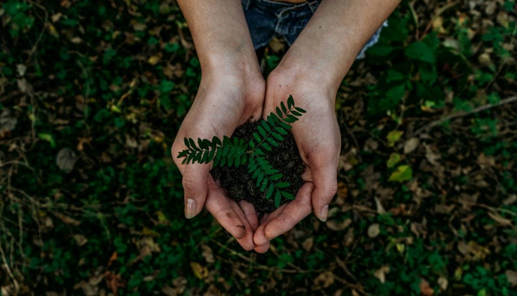 noah-buscher-x8ZStukS2PM-unsplash | CuddlyNest Travel Blog
