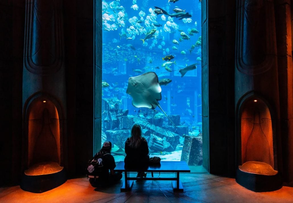 Palm Jumeirah - Aquarium des Chambres Perdues