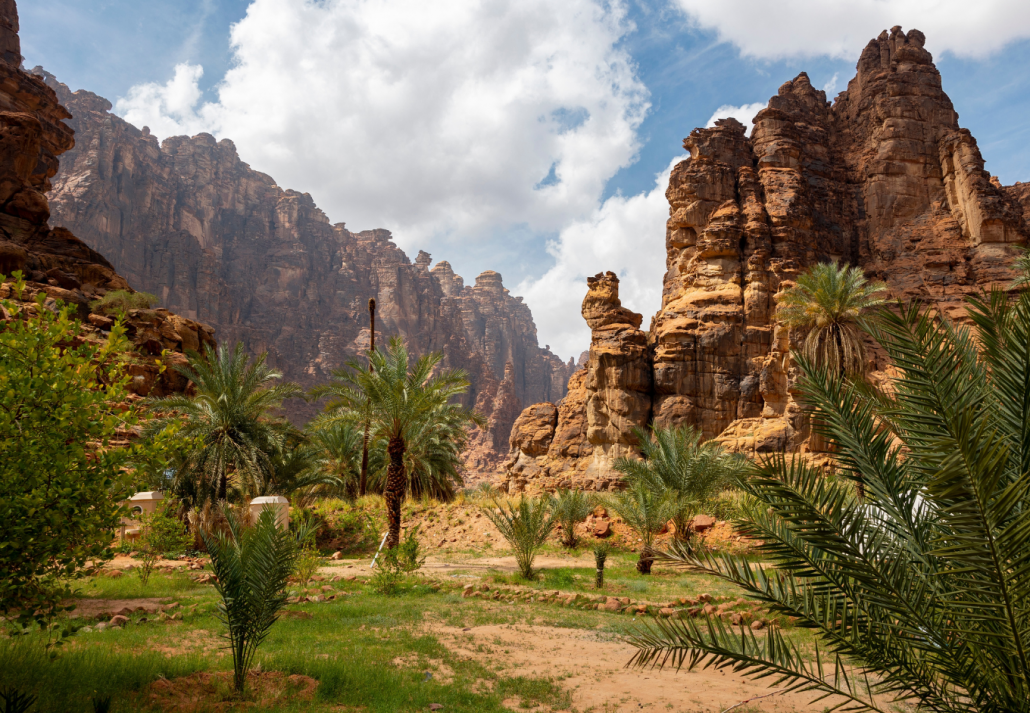 Tips for visiting Wadi Al Disah