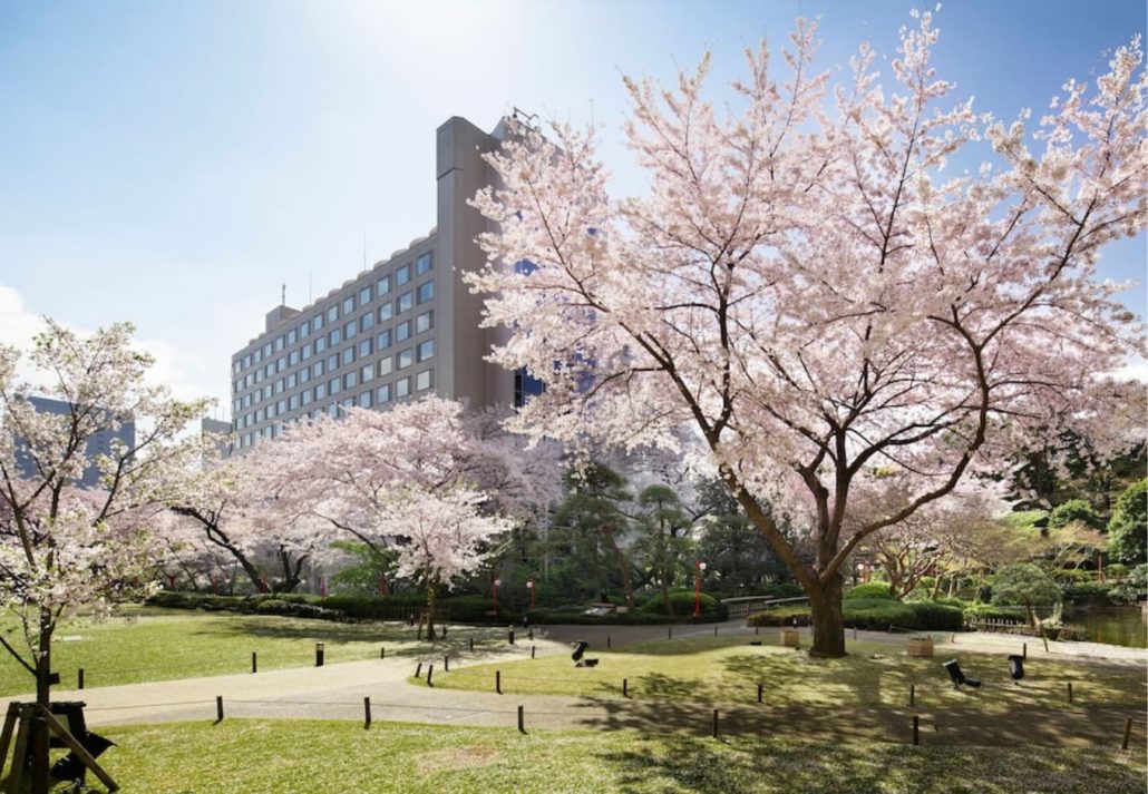 Cherry Blossoms In Tokyo: The Prince Sakura Tower Tokyo