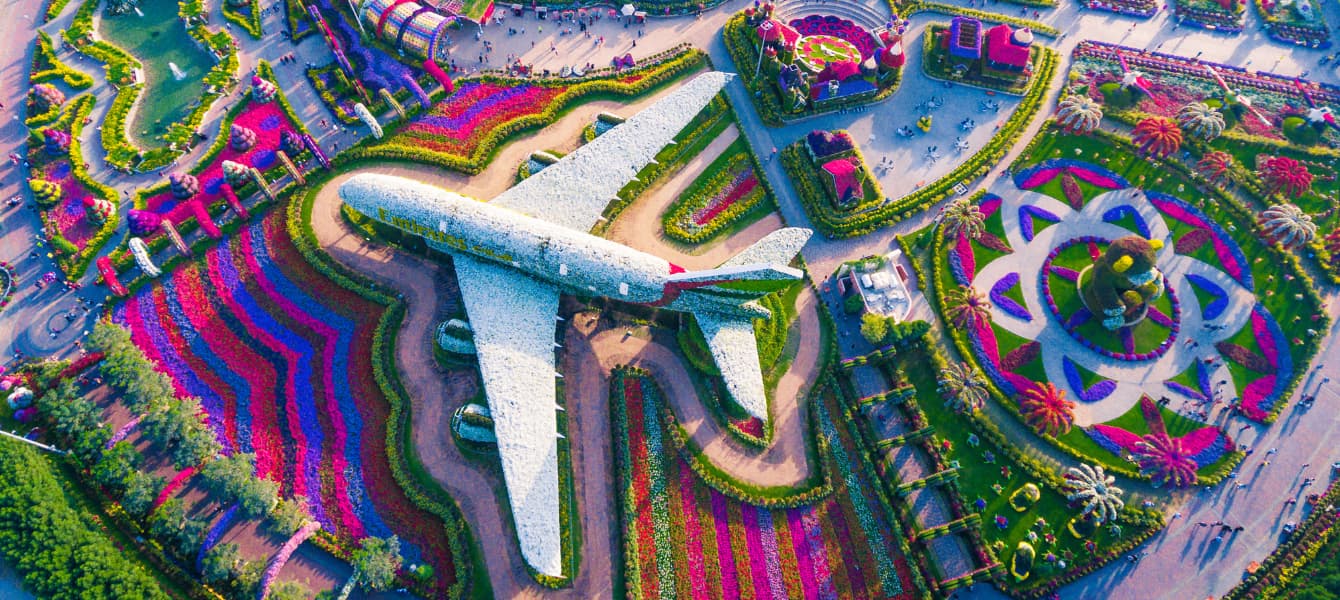 A Visual Feast: The Dubai Miracle Garden