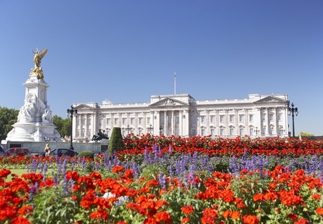 Palace Garden