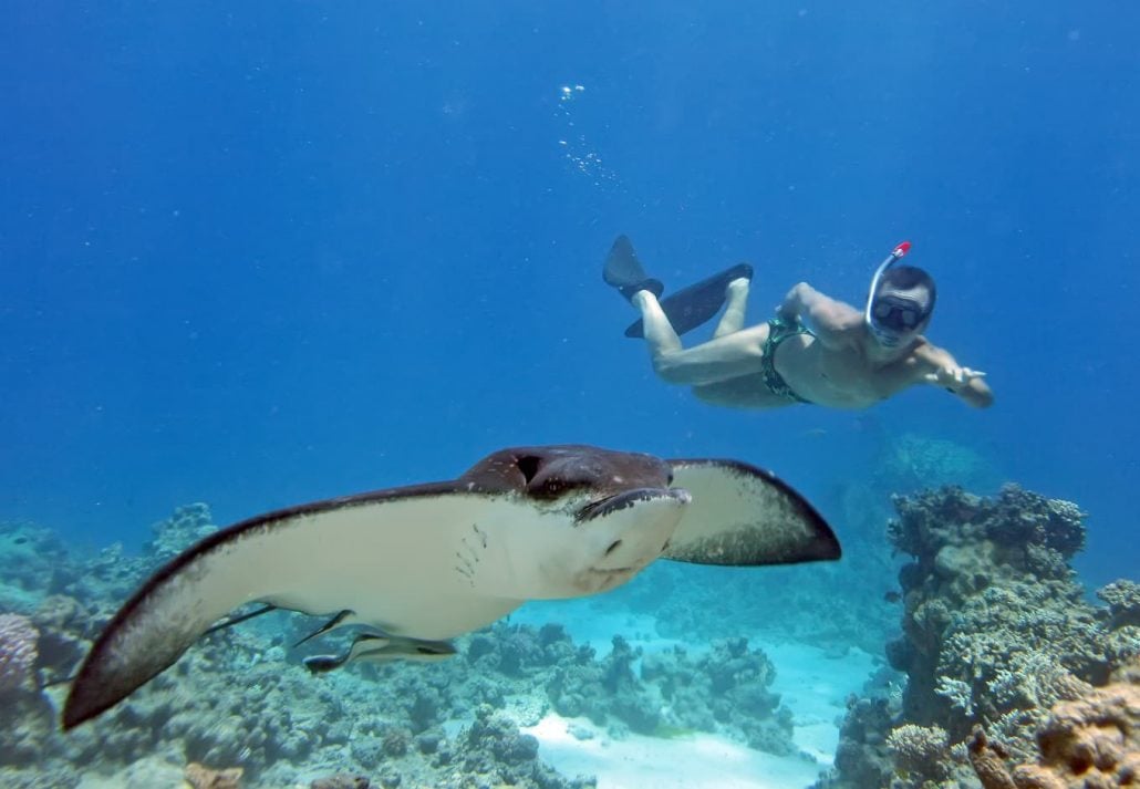 Adventure Sports in Dubai - Snorkeling