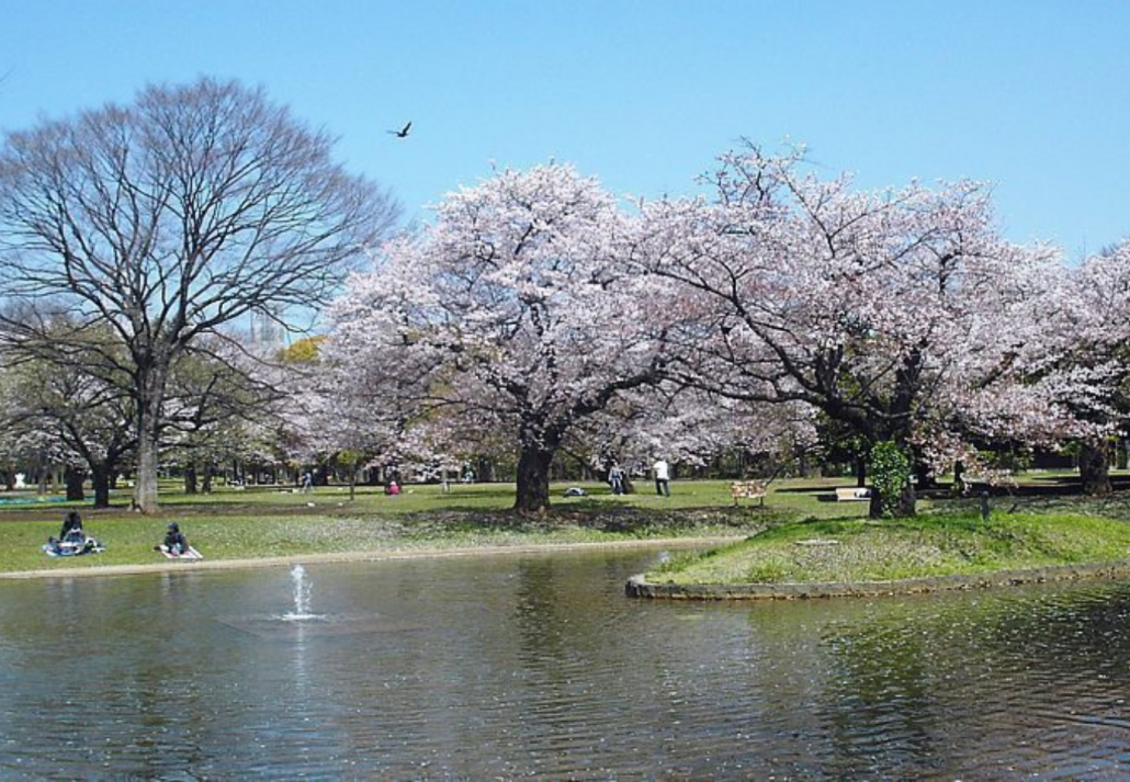 Yoyogi Park