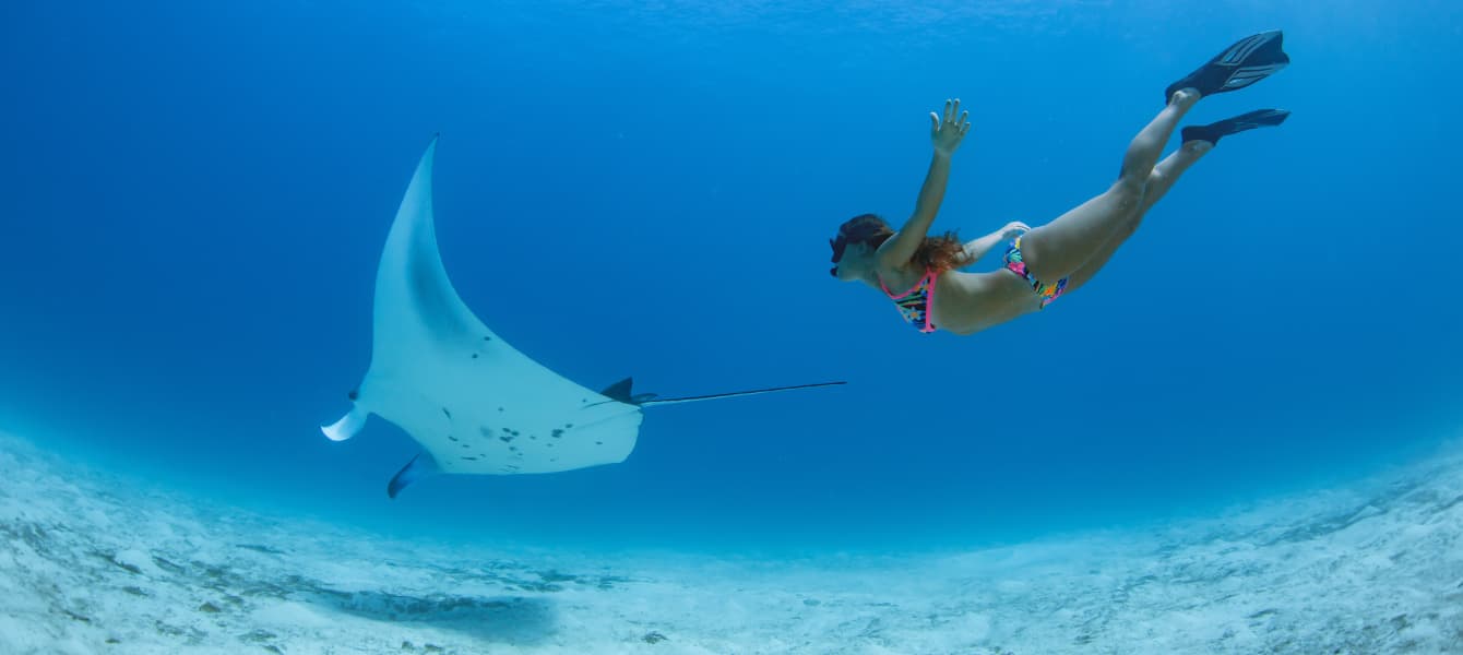Snorkeling in Dubai