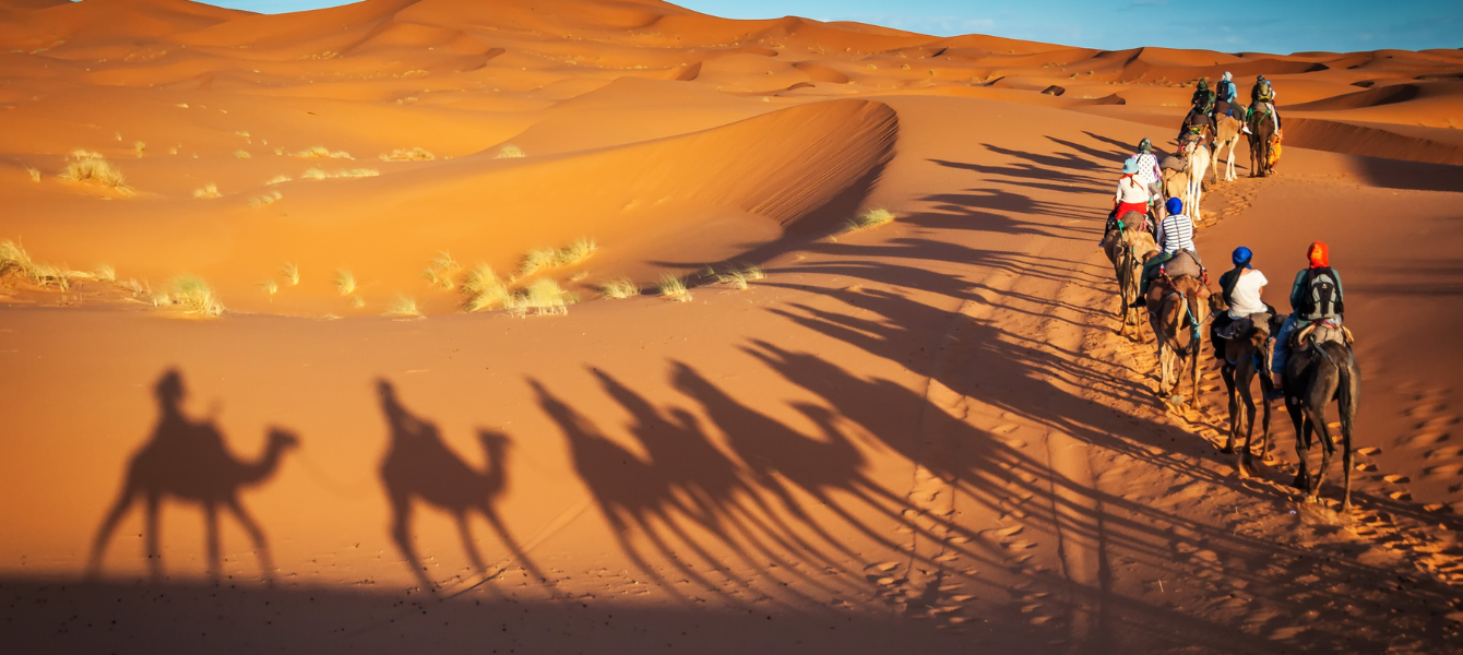 Dubai Desert Safari