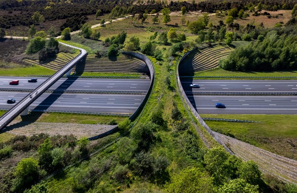 ForestAerialWildlifeCrossingFormingASafeNaturalCorridorBridge | CuddlyNest Travel Blog