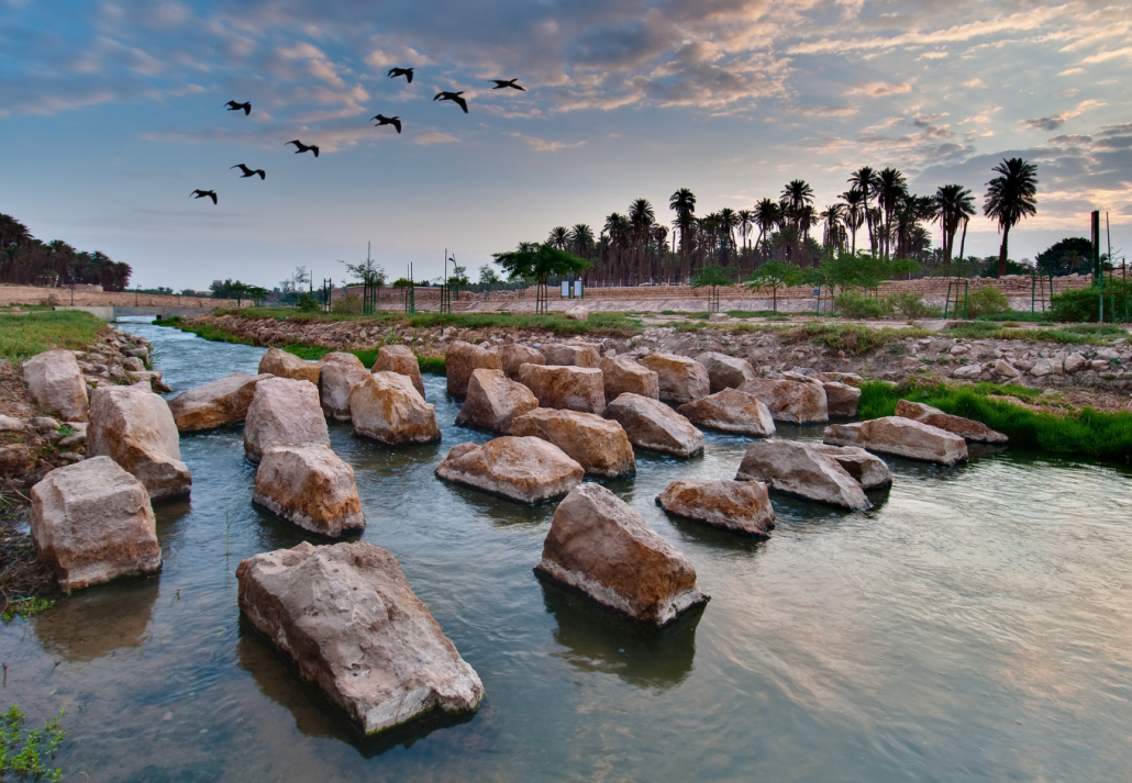 Wadi Hanifa Wetlands