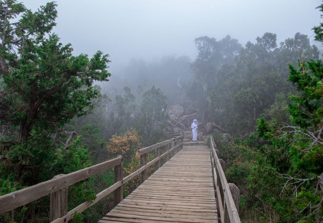 Al Soudah Park
