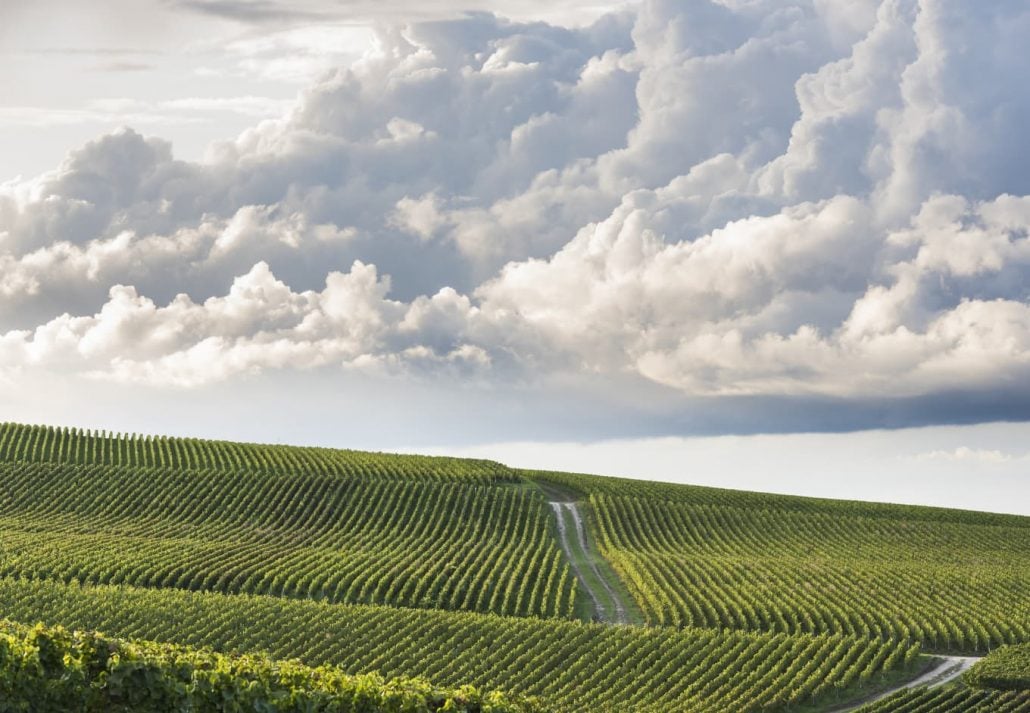 Day trips from Paris - Champagne Region
