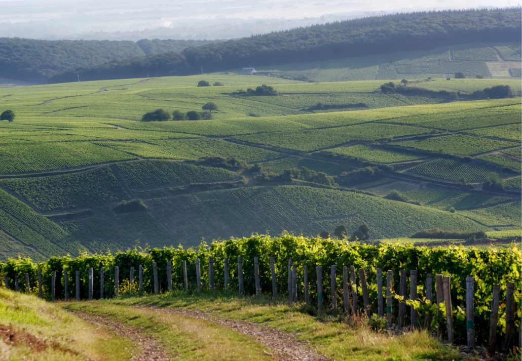 Day trips from Paris -Loire Valley