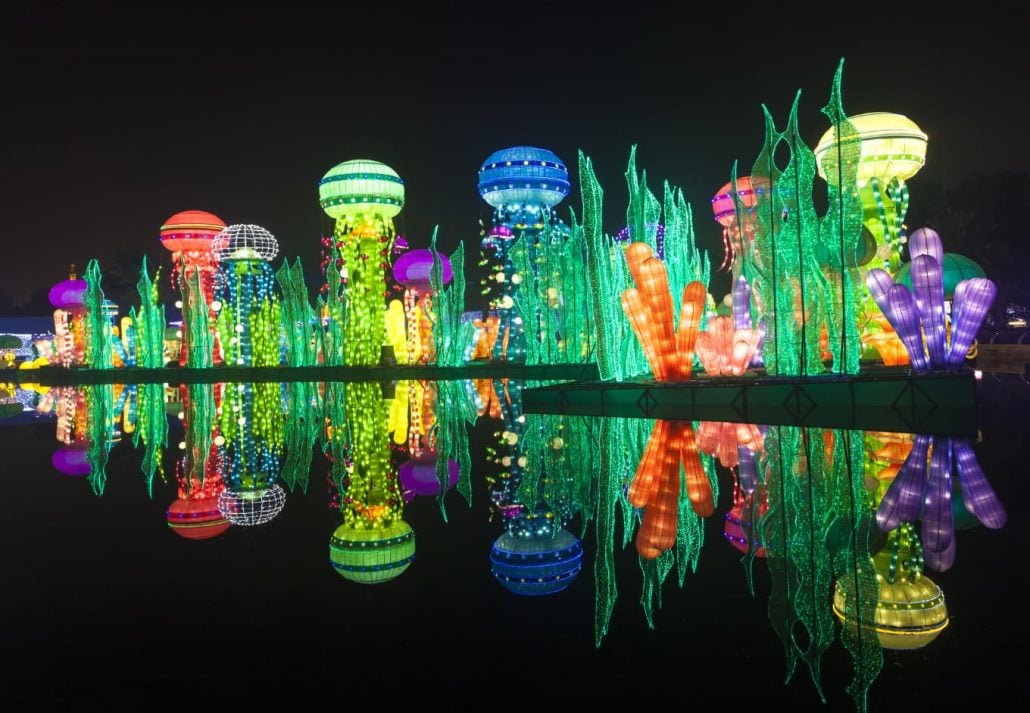 Dubai Garden Glow