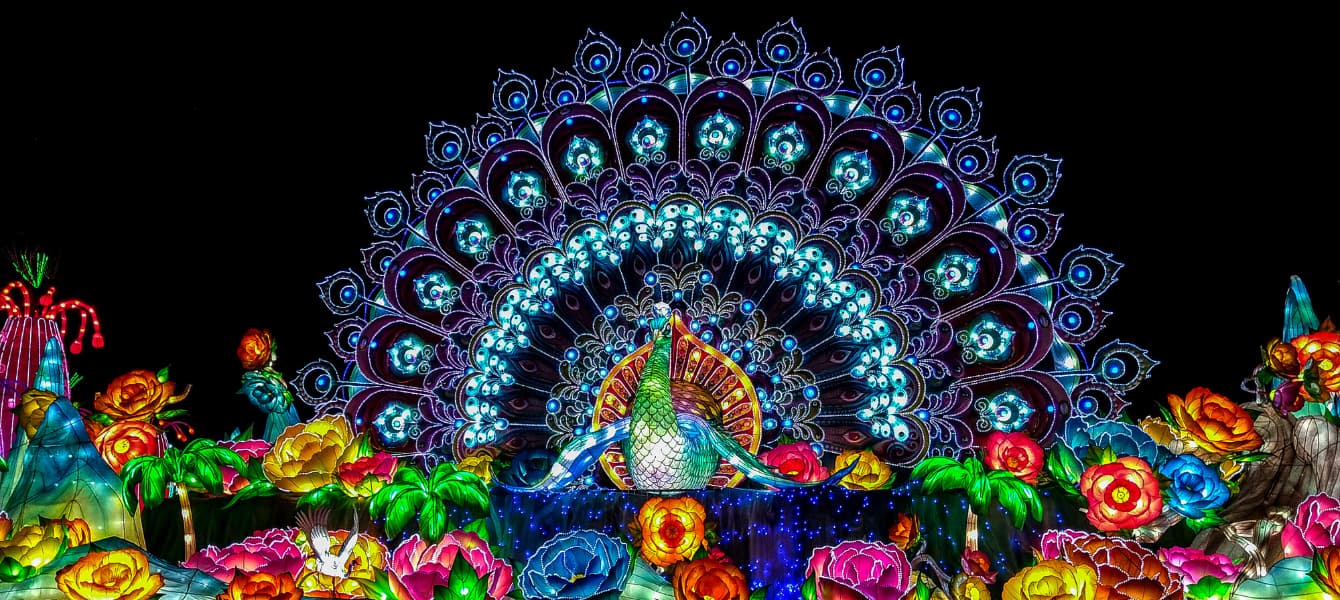 Dubai Garden Glow