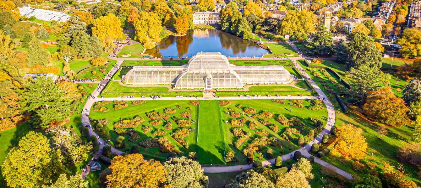 Kew Gardens In London – The Best Things To Experience