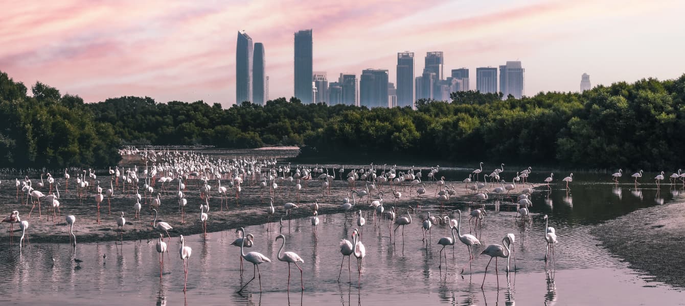 ras al khor wildlife sanctuary