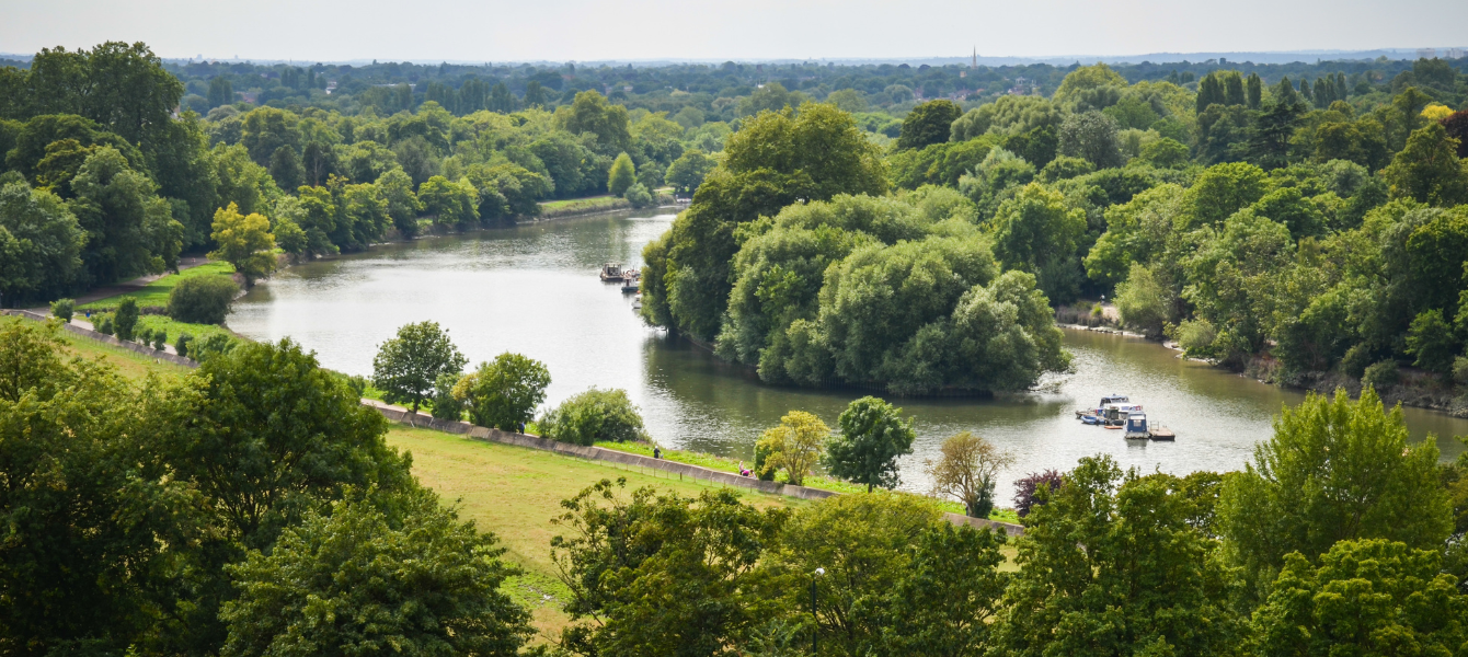 Explore Richmond Park: Everything You Need to Know