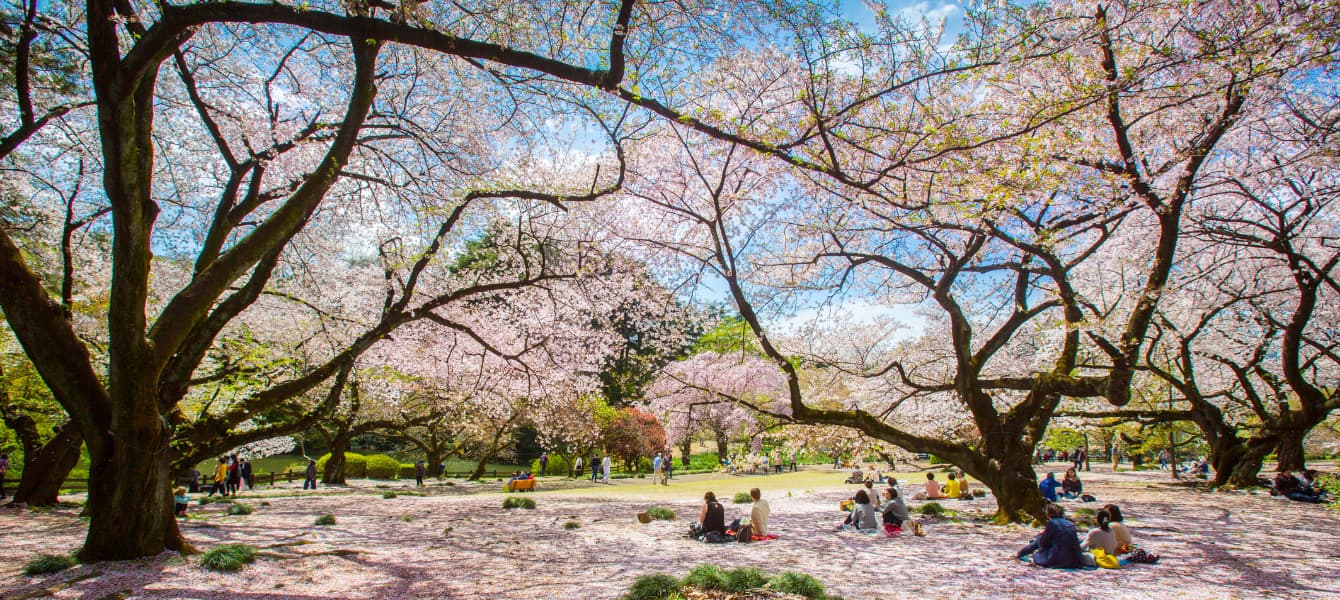 Ueno Park