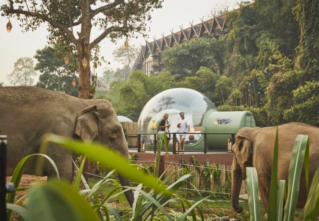 Anantara Golden Triangle Elephant Camp Resort | CuddlyNest Travel Blog Unusual hotels around the world - Anantara Golden Triangle Elephant Camp