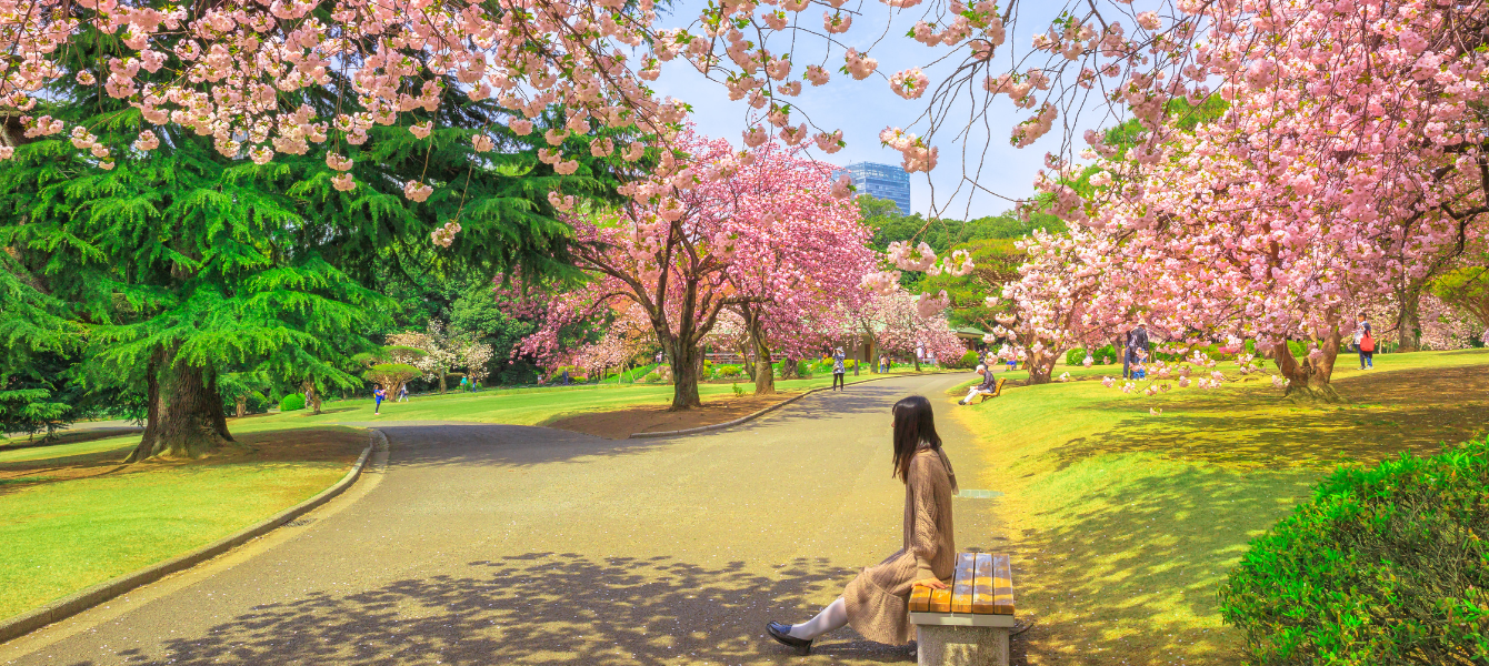 Instagrammable hotels in Tokyo