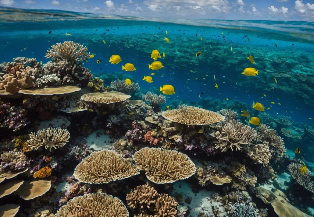 adventurous things to do - exploring Great Barrier Reef