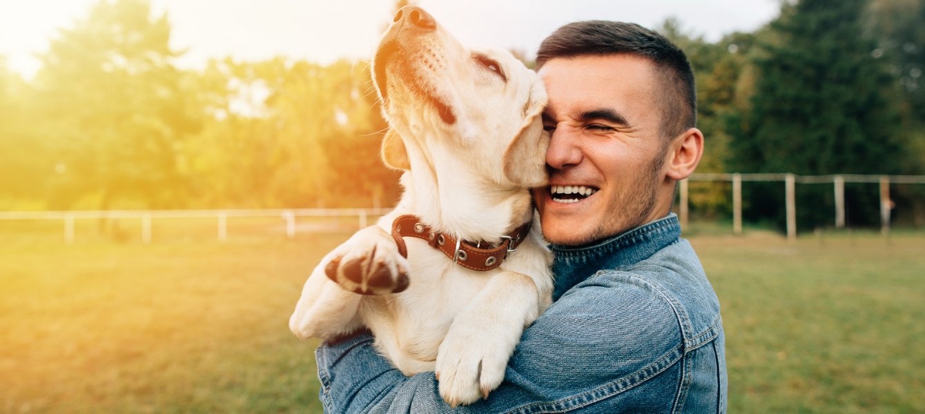 pet friendly destinations