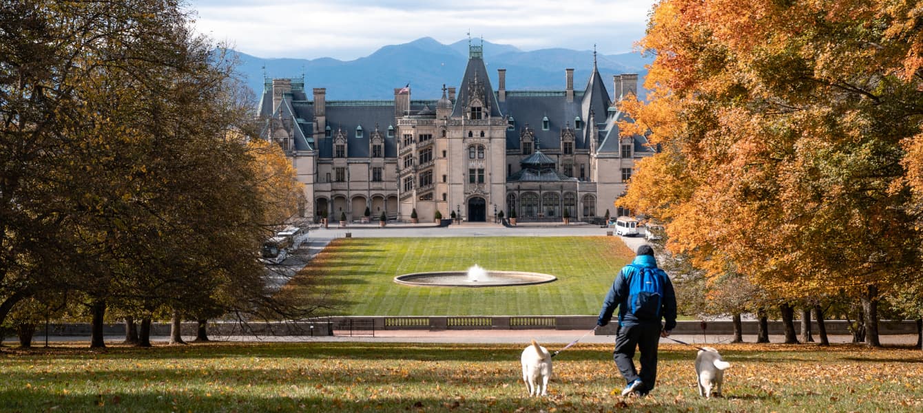 Ultimate Guide: Pet-Friendly Thanksgiving Getaways In Asheville NC