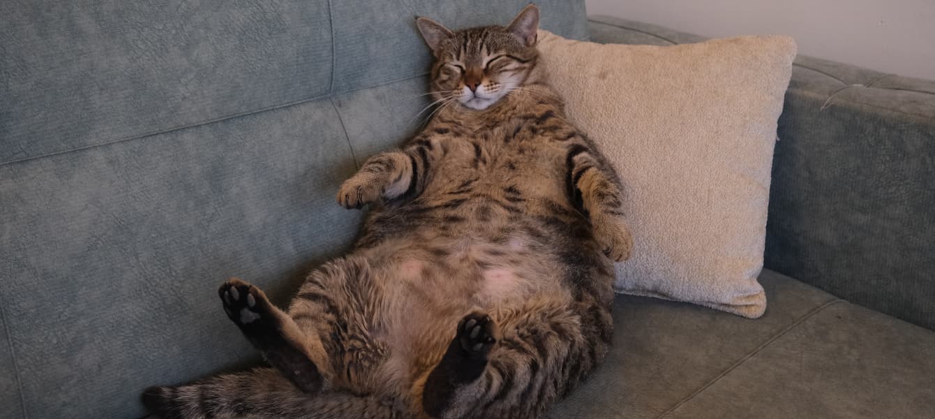 How to be a professional couch surfer