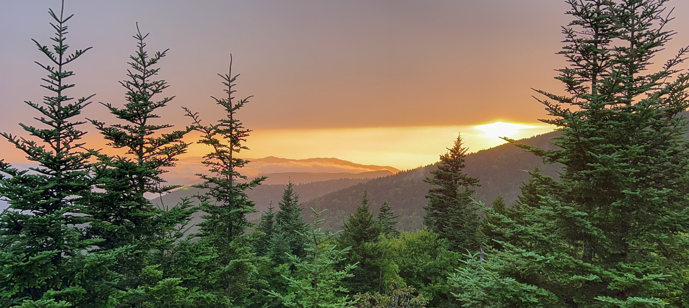 Ultimate Family Cabins in Gatlinburg this Thanksgiving