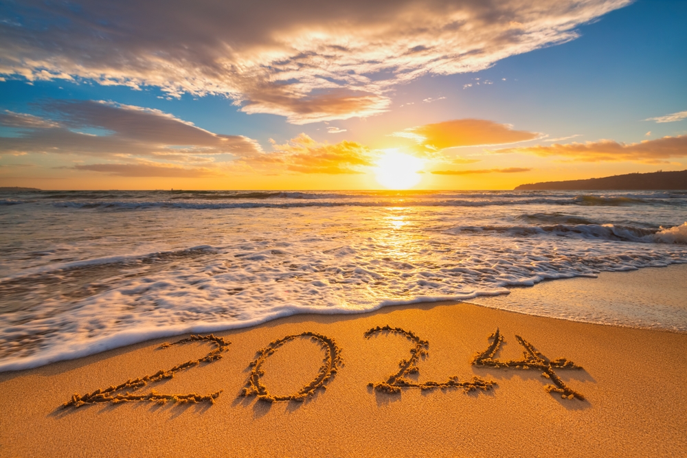 CuddlyNest Co-Founder and COO Reflects on 2024: A Year of Growth and Innovation