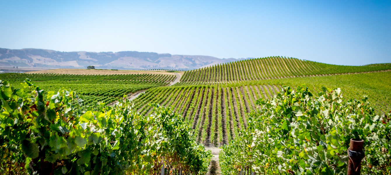The Best Romantic Getaways for Valentine’s Day in Napa Valley